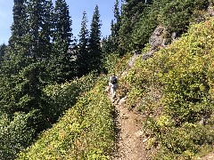 Ben Dorrough; Maple Heather Trail,